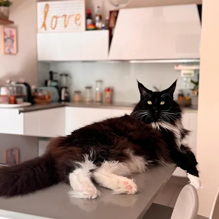 Privata Con Terrazza بولونيا