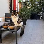 Δωμάτια σε οικογενειακή κατοικία Privata Con Terrazza *
