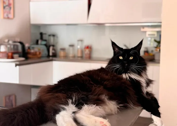 Privata Con Terrazza Bologne