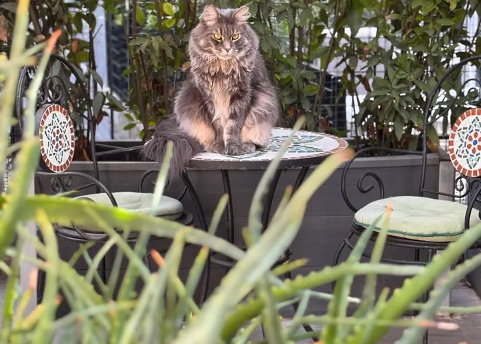 Privata Con Terrazza *