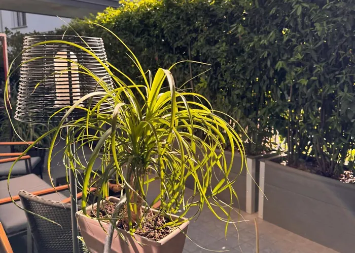 Séjour chez l'habitant Privata Con Terrazza