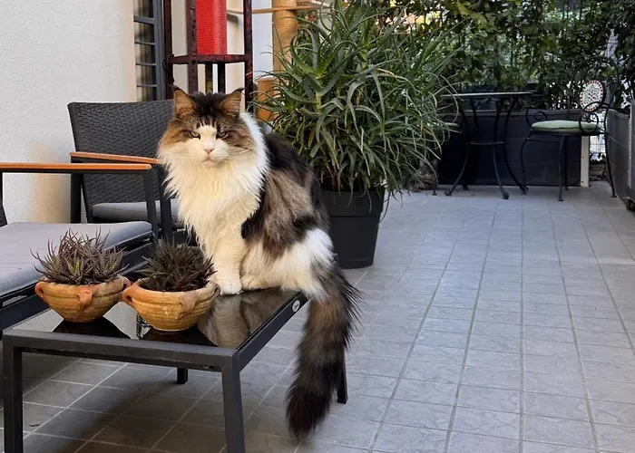 Séjour chez l'habitant Privata Con Terrazza *