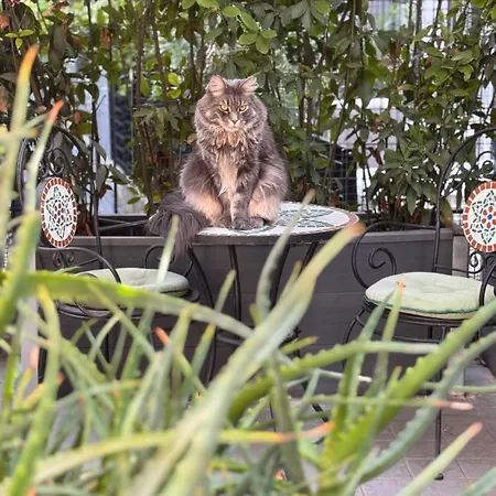 Privata Con Terrazza *